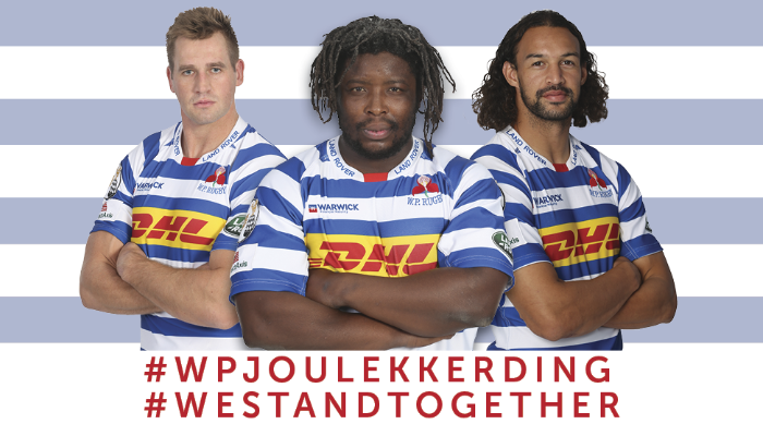 wp rugby jersey